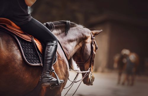 Massage Breuss et posture équitation Copie